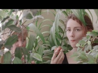 Song 36 - Alexia Avina | Shazam Song 36 - Alexia Avina