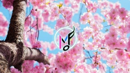 (주)해피드림 봄 라이프 | [해피 피아노 음악] "Life Blossom"-봄의 기쁨 꽃 (저작권 무료 음악) - YouTube [Happy Piano Music] "Life Blossom" - Spring Joy...