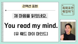 네이버 인플루언서 [네이버 인플루언서] 원어민이 매일 쓰는 영어표현 168개 모음! 기초영어는 이 영상 하나면 끝입니다.