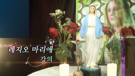 조영종 율리오의 레지오 마리애 강의 4회: 루도비꼬 성인의 성모신심 | Doovi 조영종 율리오의 레지오 마리애 강의 4회: 루도비꼬 성인의 성모신심