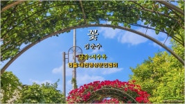 [현대시추천21] 꽃/ 김춘수(낭송:서수옥/ 영상:개울) - YouTube [현대시추천21] 꽃/ 김춘수(낭송:서수옥/ 영상:개울)