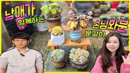 네이버 인플루언서 [네이버 인플루언서] ✨처음으로 합을 맞춰본 남매의 손님 화분 분갈이✨