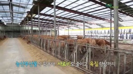 섬유질 배합 사료(TMR)제조 과정을 소개합니다~ | Doovi 섬유질 배합 사료(TMR)제조 과정을 소개합니다~