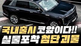 네이버 인플루언서 [네이버 인플루언서] [속보] 충격 실물 포착! 드디어 한국 땅 밟은 최첨단 괴물들이 독3사, 제네시스 압살한다는 이유