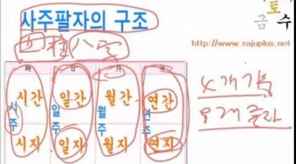 사주보기 - 플러스만세력으로 설정 방법과  자신의 사주 풀어보기