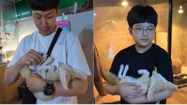 (여행,vlog) 사막여우 만지러 울산에 위치한 와우쥬 실내 동물원에... - YouTube (여행,vlog) 사막여우 만지러 울산에 위치한 와우쥬 실내... 