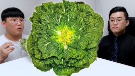 봄동비빔밥먹고싶다 - 카론유니버스W 미니 갤러리