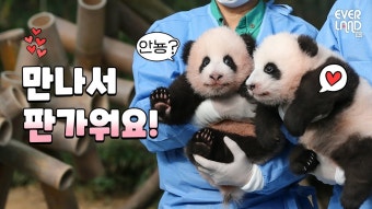 지금 보는 영상 - 판타지 갤러리