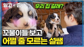 오리 친구 - 막장 갤러리