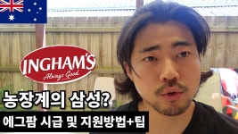 호주 세컨비자 달걀농장 후기 🥚 | 호주 워홀 | 루프탑제이 - YouTube 호주 세컨비자 달걀농장 후기 🥚 | 호주 워홀 | 루프탑제이