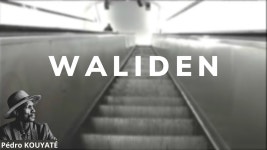 Waliden - Pédro Kouyaté | Shazam Waliden - Pédro Kouyaté