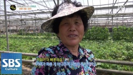전남 구례군 방풍나물 채취의 달인. - 진보정치 마이너 갤러리