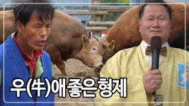 아 이거 왤케 웃기지 - 송하영 마이너 갤러리