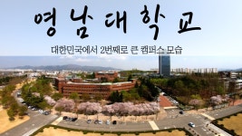 영남대생도 모르는 영남대학교 진짜 모습 - 영남대 갤러리