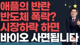 네이버 인플루언서 [네이버 인플루언서] 0730 애플의 반란 반도체 폭락? 시장하락 하면바이오 사면됩니다