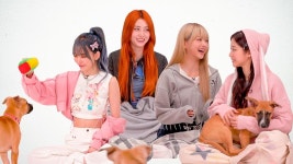 LE SSERAFIM: The Puppy interview - 위버스 마이너 갤러리