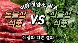 고기 안먹으면 안되는 이유 - 미국 정치 마이너 갤러리
