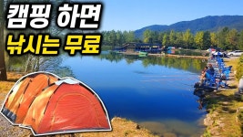 네이버 인플루언서 [네이버 인플루언서] 명랑가족의 포천캠핑장