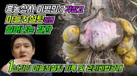 네이버 인플루언서 [네이버 인플루언서] 마늘 전문 농약사가 각잡고 컨설팅하면 벌어지는 일