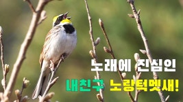 노래에 진심인 - 락 갤러리