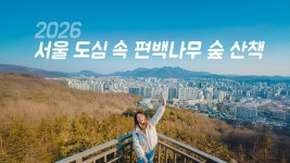 네이버 인플루언서 [네이버 인플루언서] [아보행10] 편백나무 숲을 품은 서울 속 자연, 봉산 숲길 산책 part1. 디지털미디어시티 - 봉산전망대... 