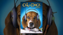 캣츠 앤 독스 - YouTube 캣츠 앤 독스