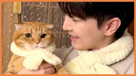 네이버 인플루언서 [네이버 인플루언서] 베니패밀리와 함께하는 고요한 밤 🌙 힐링·수면음악 (잔잔한 피아노)