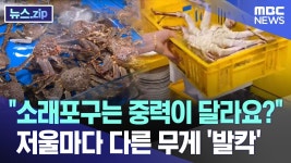 용산 양아치들 소래포구로 간니 ? - 정치, 사회 갤러리