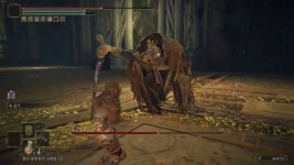 모르고트 특대무기 구평으로 잡은거 찍은거있음 - 프롬 소프트웨어 마이너 갤러리