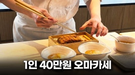 엘라 삼촌은 오마카세 안갈것같아 - 블루아카이브 총력전 마이너 갤러리