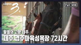 장수 경주마목장 / 제주 경주마육성 목장 다큐 - 트레센 학원(우마무스메) 마이너 갤러리