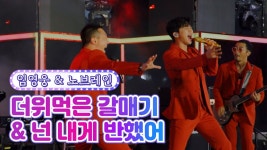 임영웅 노브레인이랑 부른 더위 먹은 갈매기 - 미스터 트롯 갤러리