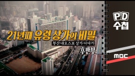 무패 건물주 할아버지의 행복한 하루 - 미국 주식 마이너 갤러리