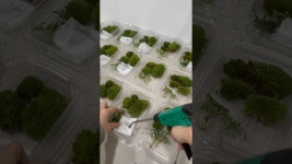 네이버 인플루언서 [네이버 인플루언서] 테라리움 키트 단체출강 준비 원예강사 기업출강전문 플로리스트