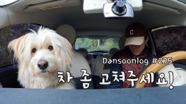 네이버 인플루언서 [네이버 인플루언서] SUB 단순로그275 시골에서 수입차가 고장 나면 생기는 일 vlog