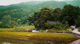 고향길 - YouTube 고향길