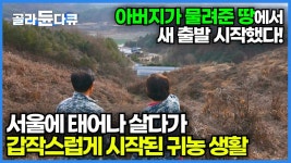 서울에서 태여나 영주로 귀농 - 도시 갤러리