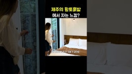 네이버 인플루언서 [네이버 인플루언서] 제주의 황토흙밭에서 자는 느낌? #shorts #제주도 #한림읍