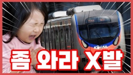 ㅅㅂㅋㅋㅋㅋ - 교통 마이너 갤러리