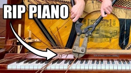 참좋은 세상이야 - 일렉트릭기타 마이너 갤러리