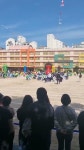 홍돼지tv - YouTube