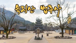 네이버 인플루언서 [네이버 인플루언서] 충북 보은 가볼만한곳 속리산 법주사 세조길