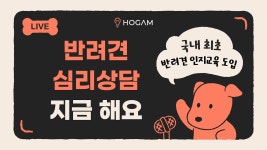 [24.03.10] 반려견 상담실 | #호감교육센터 - YouTube [24.03.10] 반려견 상담실 | #호감교육센터
