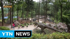 [수목원 산책] 덕평공룡수목원 / YTN | Doovi [수목원 산책] 덕평공룡수목원 / YTN