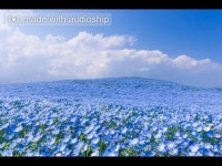 Dona Beatles | ReverbNation Dona Beatles | Alternative from London, UK