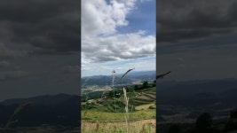 私が噂のNo.1💎四季 - YouTube