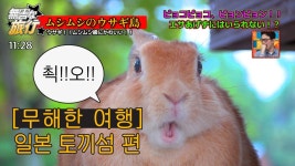 토끼섬 영상 - 노래연습 마이너 갤러리