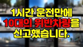 네이버 인플루언서 [네이버 인플루언서] 8월 어느날 1시간 주행하고 10대의 차량을 신고하게 되었습니다. (실제 위반은 다 많았던건 안 비밀!!)