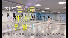 네이버 인플루언서 [네이버 인플루언서] 롬레리나의 성인발레