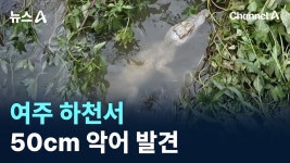 여주 악어 이것도 시그널 일 수도 있네 아조 - 일루미나티 마이너 갤러리 여주 악어 이것도 시그널 일 수도 있네 아조  - 일루미나티 마이너 갤러리